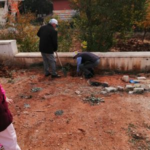 11 Kasım “Milli Ağaçlandırma Günü” kapsamında ağaç dikimi gerçekleştirildi. - fotoğraf 2