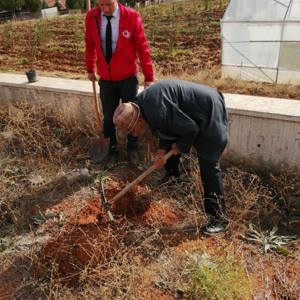 11 Kasım “Milli Ağaçlandırma Günü” kapsamında ağaç dikimi gerçekleştirildi. - fotoğraf 8