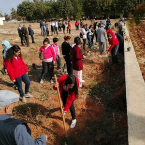 11 Kasım “Milli Ağaçlandırma Günü” kapsamında ağaç dikimi gerçekleştirildi. - fotoğraf 9