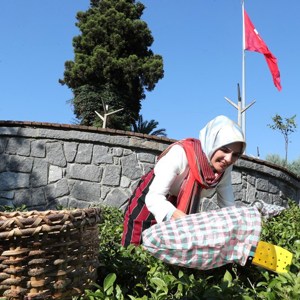 Aile ve Sosyal Hizmetler Bakanımız Göktaş, Rize'de Dijital Detoks ve Büyük Aile Buluşması'na katıldı - fotoğraf 6