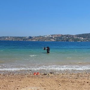 Çeşme Kampı - fotoğraf 1