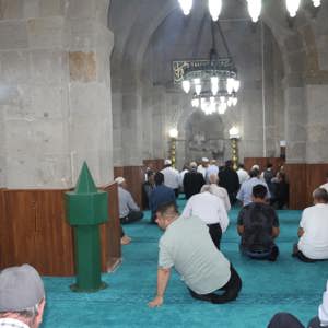 VEFAHANE Projesi Kapsamında Çınarlarımızla Buluşmalar Devam Ediyor - fotoğraf 8
