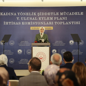 Bakanımız  Göktaş,  "Kadına Yönelik Şiddetle Mücadele V. Ulusal Eylem Planı İhtisas Komisyonları Toplantısı"na katıldı - fotoğraf 2