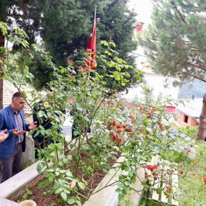 Şehidimiz Ayhan Gedikli’nin Annesi Emine Gedikli Hanesinde Ziyaret Edildi. - fotoğraf 2