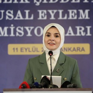 Bakanımız Göktaş, "Kadına Yönelik Şiddetle Mücadele V. Ulusal Eylem Planı İhtisas Komisyonları Toplantısı"na Katıldı - fotoğraf 4