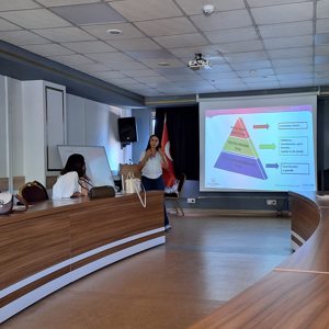 Afet ve Acil Durumlarda Psikososyal Destek Çalışma Grubu Kapasite Geliştirme Eğitimi - fotoğraf 4