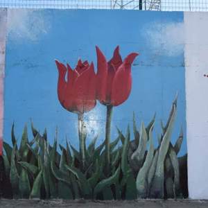 Çocuk Evleri Sitemizde Tam Bir Açık Hava Sanat Şöleni Oluşturduk - fotoğraf 8