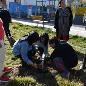 Van'da Engelli Bireyler Ağaç Dikti - fotoğraf 1