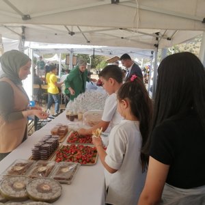 "Sason bal, ceviz ve çilek festivali" - fotoğraf 3