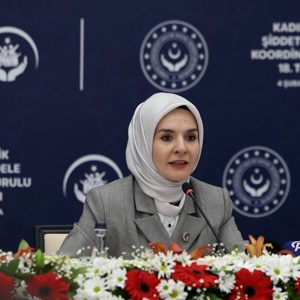 "Türkiye’de Kadına Yönelik Şiddet Araştırması" tamamlandı - fotoğraf 1