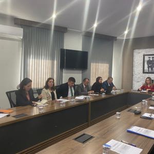 Kadının Güçlenmesi İl Koordinasyon Kurulu İlk Toplantısı Gerçekleştirildi - fotoğraf 1