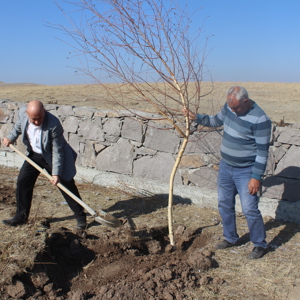 Hamur Ceylanlı Köyünde Fidan Dikme Etkinliği - fotoğraf 6