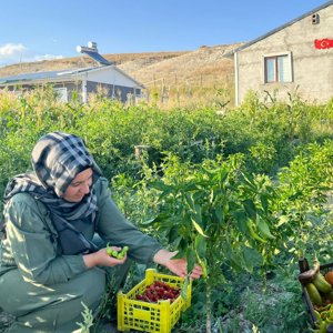Dünya Kadın Çiftçiler Günü – Kadın Kooperatifimizi Ziyaret - fotoğraf 3