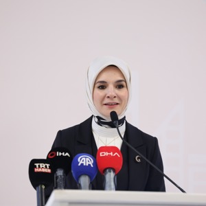 "Türkiye'de Bakım Ekonomisinin Dönüştürücü Büyümesi için BM Ortak Programı Kapanış Toplantısı" gerçekleşti - fotoğraf 1