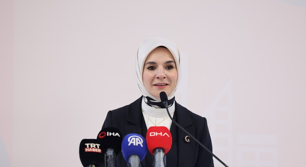 "Türkiye'de Bakım Ekonomisinin Dönüştürücü Büyümesi için BM Ortak Programı Kapanış Toplantısı" gerçekleşti