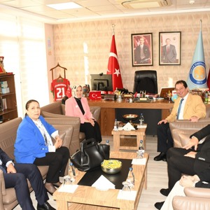  2025 Aile Yılı Kapsamında  “Değerlerimizle Aile Olmak” Konferansı Gerçekleştirildi - fotoğraf 5
