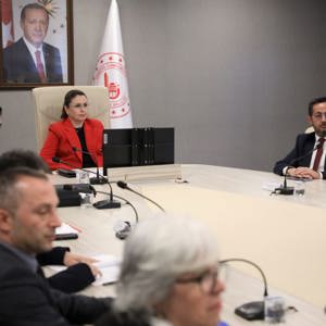 Kadının Güçlenmesi İl Koordinasyon Toplantısı - fotoğraf 2