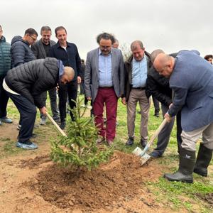11 Kasım Milli Ağaçlandırma Günü Kapsamında Fidan Dikimi Gerçekleştirildi. - fotoğraf 4