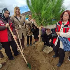 11 Kasım Ağaçlandırma Gününde Ailemiz İstikbalimiz Pankartı Açıldı. - fotoğraf 4