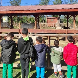 🌟 Göz Bebeğimiz, Çocuklarımız Ara Tatilinde Doya Doya Eğlendiler! 🐴🌞 - fotoğraf 3