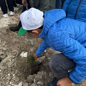 11 Kasım Milli Ağaçlandırma Günü Kapsamında Fidan Dikim Etkinliği Gerçekleştirildi - fotoğraf 5
