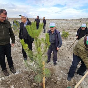 11 Kasım Milli Ağaçlandırma Günü Kapsamında Fidan Dikim Etkinliği Gerçekleştirildi - fotoğraf 4