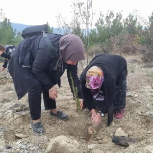 🌳 Küçük Eller, Büyük Yürekler. Geleceğe Nefes Olduk! - fotoğraf 7