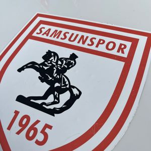 İl Çocuk Hakları Komitesi Üyesi Çocuklar Samsunspor ile Buluştu   - fotoğraf 13