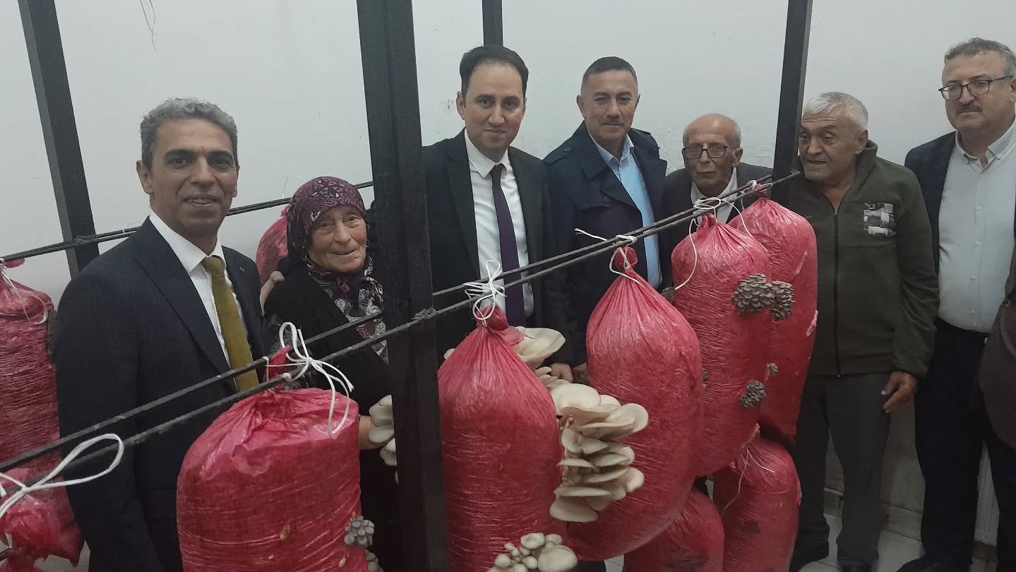 Huzurevinde İlk İstiridye Mantarı Hasadı Gerçekleştirildi 