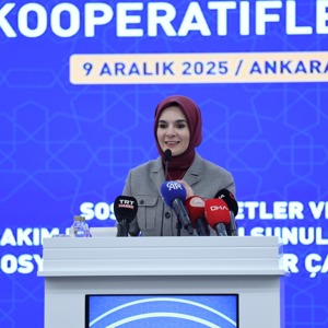 Bakanımız Göktaş "Sosyal Hizmetler ve Bakım Hizmetlerinin Sunulmasında Sosyal Kooperatifler Çalıştayı"nda konuştu - fotoğraf 6