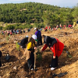Geleceğe Nefes, İnsanlığa Nefes: Tavas’ta Ağaç Dikim Etkinliği Düzenlendi - fotoğraf 6