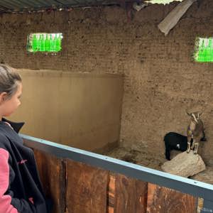 2025 Aile Yılı Kapsamında Ebeveyn Kaybı Yaşayan Çocuklara Yönelik At Çiftliği Etkinliği Gerçekleştirildi - fotoğraf 2