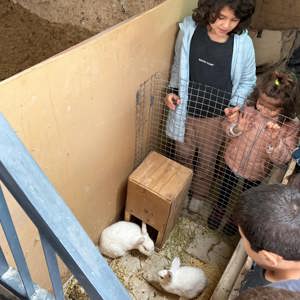 2025 Aile Yılı Kapsamında Ebeveyn Kaybı Yaşayan Çocuklara Yönelik At Çiftliği Etkinliği Gerçekleştirildi - fotoğraf 13