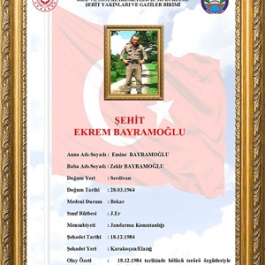 Jandarma Er Ekrem Bayramoğlu, şehadetinin yıl dönümünde rahmet, minnet ve şükranla anılmaktadır. - fotoğraf 1