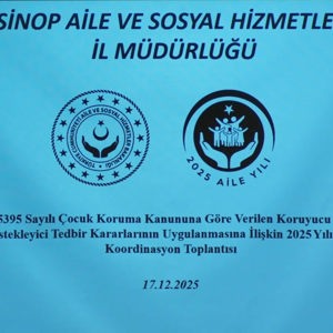 5395 Sayılı Çocuk Koruma Kanunu İl Koordinasyon Toplantısı Gerçekleştirildi - fotoğraf 6