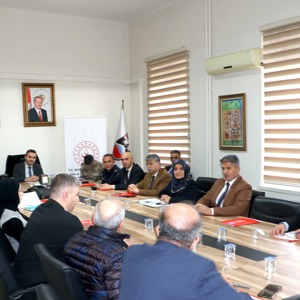 Güçlendirilmiş Bakım Modelinin İhtisaslaştırılmış Çocuk Evlerine Uygulanmasına Dair Protokol Eylem Planı kapsamında değerlendirme ve istişare toplantısı gerçekleştirildik. - fotoğraf 6