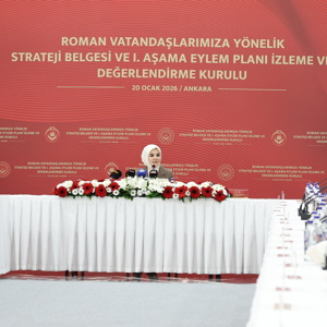 Bakanımız Göktaş, Roman vatandaşlara yönelik strateji belgesi ve eylem planıyla ilgili toplantıda konuştu - fotoğraf 2