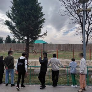 Erciyes Kayak Merkezi ve Kayseri Hayvanat Bahçesi’ne gezi düzenlendi.  - fotoğraf 4