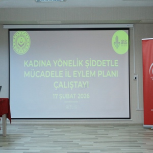 Kadına Yönelik Şiddetle Mücadele İl Eylem Planı Çalıştayı - fotoğraf 4