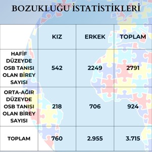 II. Ulusal Otizm Eylem Planı Kapsamında İlimizde Sunulan Hizmetler ve 2025 Yılı Otizm Spektrum Bozukluğu İstatistikleri - fotoğraf 2