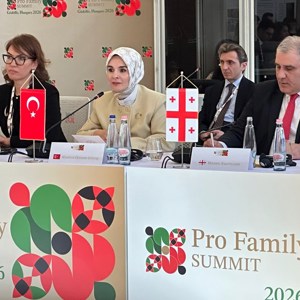Bakanımız Göktaş, Macaristan’da düzenlenen “Aile Odaklı Zirve”de konuştu: - fotoğraf 2