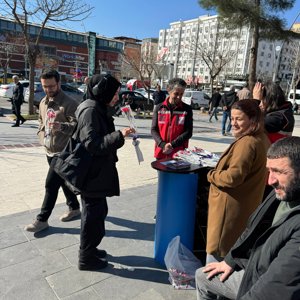 Atatürk Parkında karanfil dağıtıldı ve Kadına Yönelik Şiddetle Mücadele bilgilendirme çalışması  - fotoğraf 2