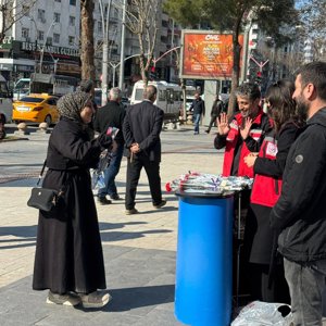 Atatürk Parkında karanfil dağıtıldı ve Kadına Yönelik Şiddetle Mücadele bilgilendirme çalışması  - fotoğraf 6