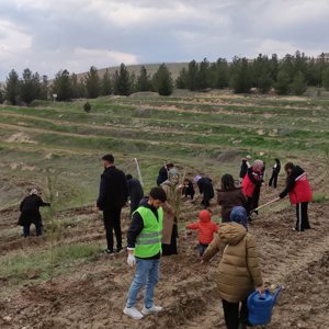 8 Mart Etkinlikleri  - fotoğraf 3