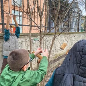 Minik Eller Doğa İçin Buluştu: Kuşlar İçin Sevgiyle Hazırlanan Yemler Ağaçlarda - fotoğraf 1