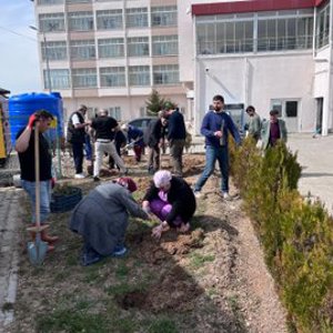 Ulu Çınarlarımız, gelecek nesillere nefes oluyor... - fotoğraf 3