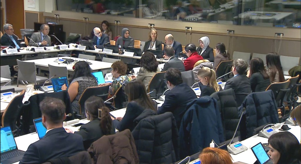 Darülaceze "iyi uygulama örneği" olarak BM'de tanıtıldı