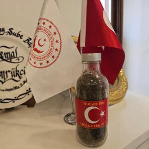 Türkiye’nin Her Karışı Çanakkale Projesiyle Anlamlı Buluşma - fotoğraf 1