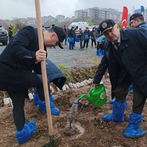 Dünya Ormancılık Günü ve Orman Haftası kapsamında taze fidanlar toprakla buluştu. - fotoğraf 7