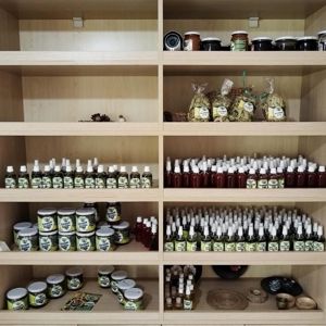 Kadın Kooperatifleri Sahada Üretimde Güçleniyor - fotoğraf 5